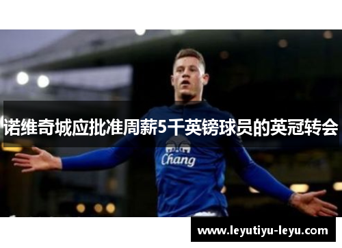 诺维奇城应批准周薪5千英镑球员的英冠转会